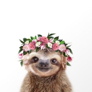 Meet your Posher, Star